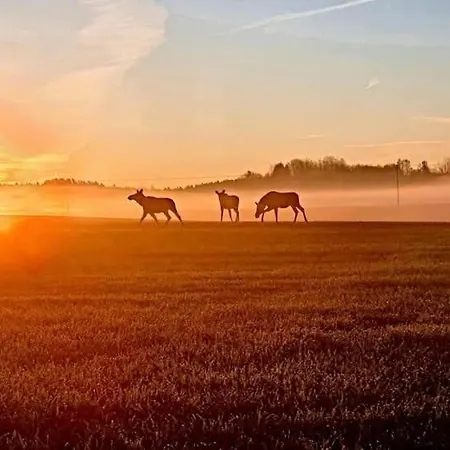 Sielski Zakatek * Srokowo